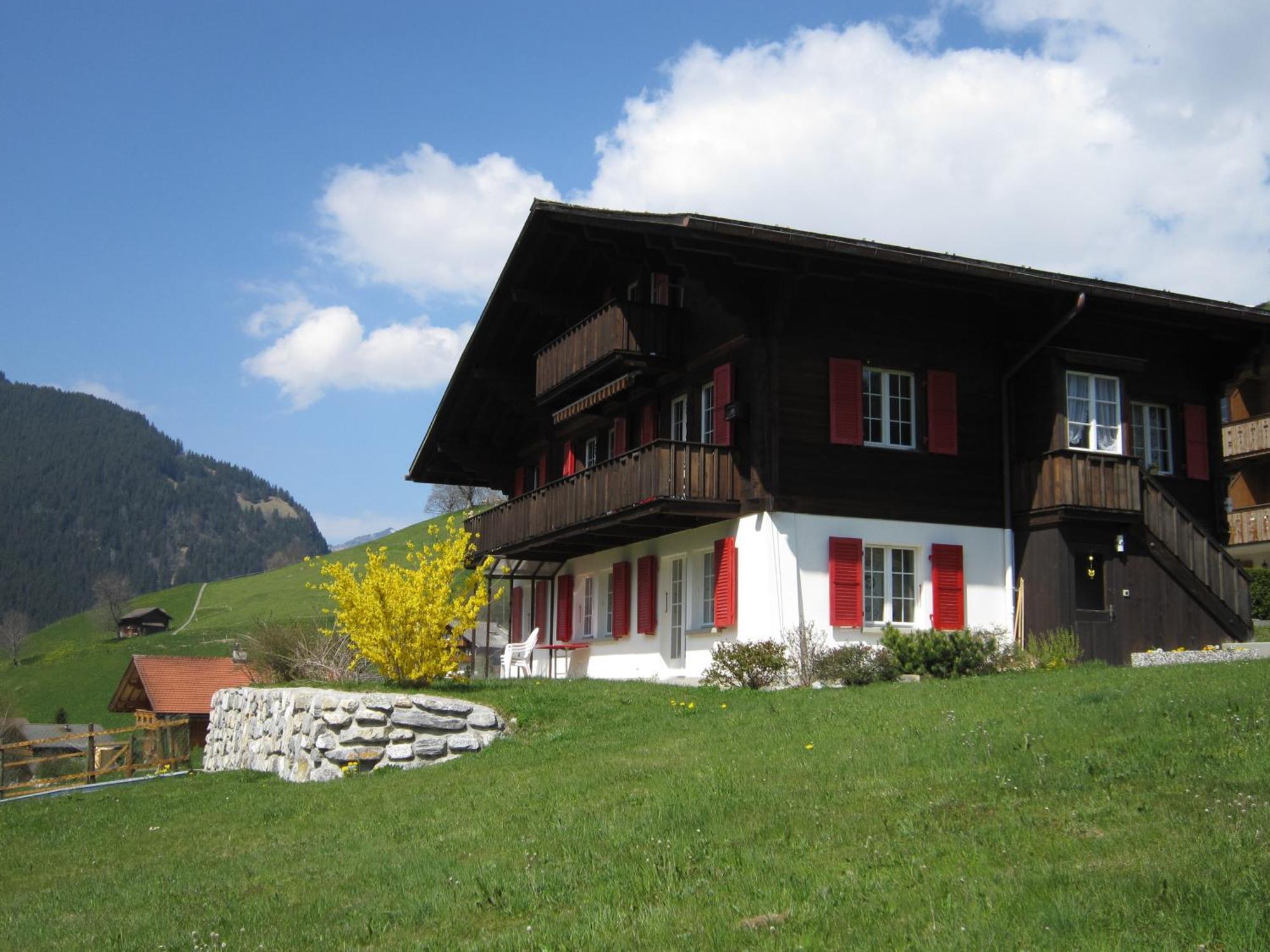 Chalet Aiiny Grindelwald Exterior foto